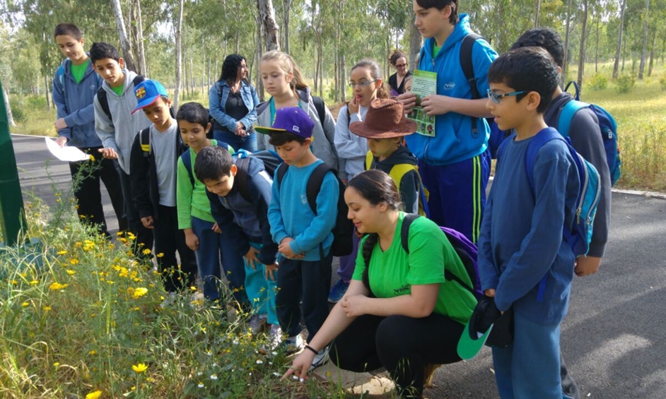 נתניה: לומדים בחורשת הסרג'נטים