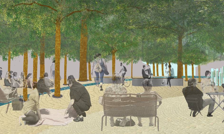 עיר ימים: תוקם כיכר מרכזית בה חורשת עצי תות