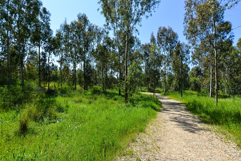 אות קלינטק לעשר הערים הירוק