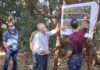 נתיבים מהירים לנתניה: מחלף וינגייט והרחבת כביש החוף בקרוב נתיבים מהירים - נתניה