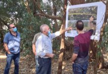 נתיבים מהירים לנתניה: מחלף וינגייט והרחבת כביש החוף בקרוב נתיבים מהירים - נתניה