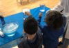 בצל הקורונה: מרכז פלנתניה חידש פעילות – אלפים ביקרו פלנתניה נפתח שוב למבקרים