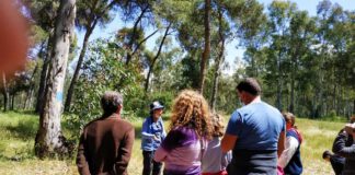 סיורי טבע בנתניה בסימן פריחה סיורי טבע בנתניה הפכו לאחד הטרנדים המבוקשים יותר עבור ציבור גדול מכל רחבי ישראל