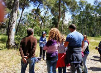 סיורי טבע בנתניה בסימן פריחה סיורי טבע בנתניה הפכו לאחד הטרנדים המבוקשים יותר עבור ציבור גדול מכל רחבי ישראל