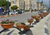 עיריית נתניה השקיעה 1.6 מלש"ח בעבודות גינון בצירי תנועה רחוב ויצמן, נתניה
