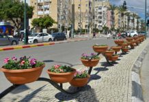 עיריית נתניה השקיעה 1.6 מלש"ח בעבודות גינון בצירי תנועה רחוב ויצמן, נתניה
