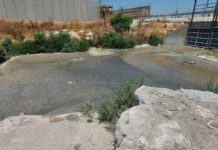 סכנה לאסון אקולוגי בנחל אלכסנדר ובים