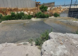 סכנה לאסון אקולוגי בנחל אלכסנדר ובים