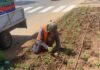 נתניה: 17 מלש"ח לשדרוג וחידוש 100 גינות בנתניה למעלה מ-100 גינות בנתניה, כיכרות ושטחי גינון ברחבי העיר יחודשו וישודרגו על-ידי עיריית נתניה. בנוסף, יוקמו גנים חדשים כולל ארבע גינות לכלבים ברחבי שכונות נתניה