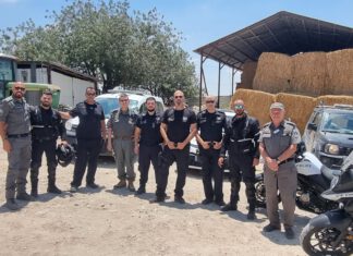 שוהים בלתי חוקיים נעצרו סמוך לנתניה