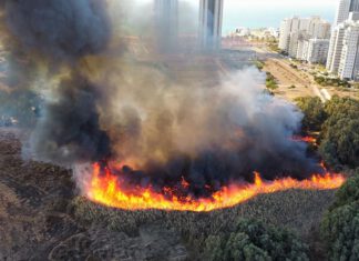 נזק כבד לשלולית החורף עקב שריפה שפרצה במקום להבות אחזו בצמחיה בשלולית החורף. צילום מתוך דף פייסבוק פורום שכונת אגמים. תמונה לפי סעיף 27 א' לחוק זכויות יוצרים.