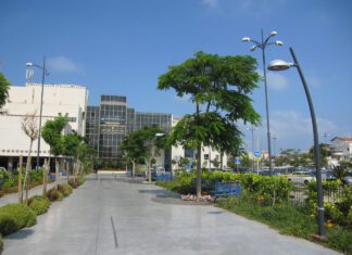 סייבר: בית חולים לניאדו השלים פרויקט גיבוי נתונים מבוסס Commvault