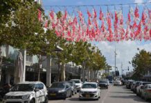 נתניה: סטריט מול הרצל מציג את פריחת הדובדבן מיצג "פריחת הדובדבן" הוא הראשון במסגרת מיצגים אשר יתחלפו בהתאם לעונות השנה מעל כביש הרצל סטריט מול - נתניה