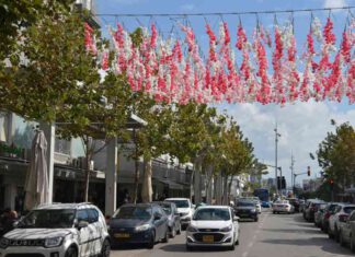 נתניה: סטריט מול הרצל מציג את פריחת הדובדבן מיצג "פריחת הדובדבן" הוא הראשון במסגרת מיצגים אשר יתחלפו בהתאם לעונות השנה מעל כביש הרצל סטריט מול - נתניה