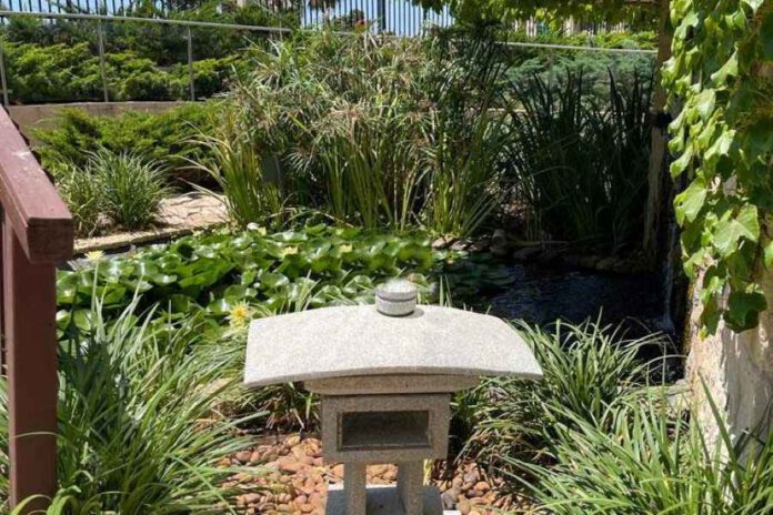 הגן הבוטני היפני בעיר נתניה ייקרא על-שמו של ראש ממשלת יפן לשעבר, שינזו אבה, שנרצח. הגן כולל אלמנטים המאפיינים גנים יפניים. 