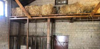 20 כלי נשק נגנבו ממוזיאון סליק ההגנה במשמר השרון בתמונה, סליק ההגנה - קיבוץ משמר השרון שהפך לאתר מורשת ישראלי