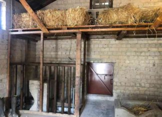 20 כלי נשק נגנבו ממוזיאון סליק ההגנה במשמר השרון בתמונה, סליק ההגנה - קיבוץ משמר השרון שהפך לאתר מורשת ישראלי