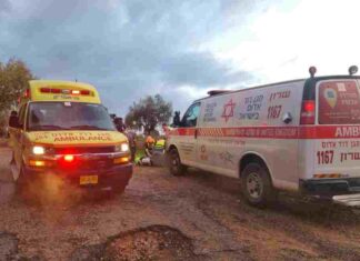 גבר בן 47 נהרג מפגיעת ברק בשדות עמק חפר בתמונה: צוותי מד"א מנסים להחיות גבר אשר נפגע מפגיעת ברק בשדות עמק חפר. תיעוד: צילום מבצעי מד"א שרון