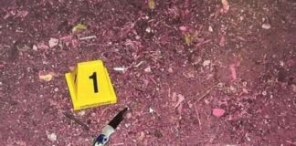 כתב אישום: בעקבות ויכוח על מדורה דקרו הקטינים ופצעו צעיר בתמונה: הסכין באמצעותה על-פי כתב האישום דקרו שני הקטינים נער אחר בנתניה