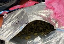 במרדף שהסתיים על גג בניין בנתניה נעצר חשוד בסחר בסמים לצעירים חבילות במשקל של כארבעה קילוגרמים של סמים אותרו בנתניה