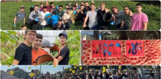 סרטוני הסברה, קטיף, עוגות ועוד; נוער נתניה מתנדב תמונת קולאז' עם פעילויות הקטיף של נוער נתניה: תלמידי ישיבת בני עקיבא, תלמידי תיכון שרת וכן מיזם אמנותי של תלמידי שורשים.