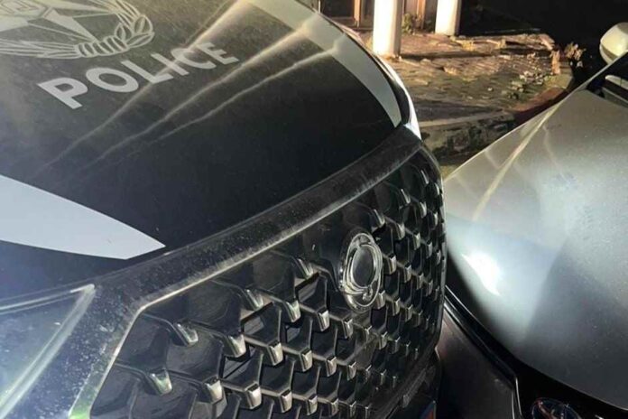 במרדף אחר גנב רכב תושב טול כרם, השתתפו שוטרים מתחנת נתניה ומתחנת שדות - תוך שהוא נוסע נגד כיוון התנועה. לאחר שהרכב נחסם, החל מרדף רגלי עיקש באזור השדות המזרחיים בכביש 4