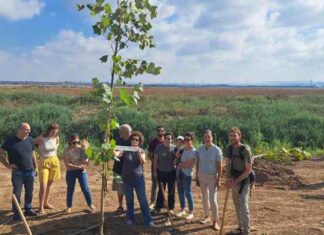 חורשת ההנצחה – עמק חפר: עצים לזכרם של נופלי עמק חפר טקס נטיעות התקיים בחורשת ההנצחה לזכרם של הנרצחות, הנרצחים, הנופלות והנופלים בני ובנות עמק חפר בשבעה באוקטובר באוקטובר ובמלחמת "חרבות ברזל".