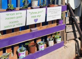 עוד ארבעה גני ילדים בנתניה הוסמכו במסגרת מיזם גנים ירוקים מיזם גנים ירוקים. כך מעודדים בנתניה 47 גני ילדים בעיר חיבור לטבע.