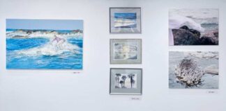 ים, שמים ורוח גם: תערוכה חדשה בנתניה הגלריה באכסדרת היכל התרבות מארחת מסע אמנותי פואטי בין טבע, זיכרון וזהות. בהשתתפות שמונה יוצרים ישראלים מובילים בתערוכה: ים, שמיים ורוח