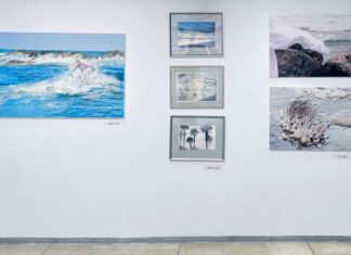 ים, שמים ורוח גם: תערוכה חדשה בנתניה הגלריה באכסדרת היכל התרבות מארחת מסע אמנותי פואטי בין טבע, זיכרון וזהות. בהשתתפות שמונה יוצרים ישראלים מובילים בתערוכה: ים, שמיים ורוח